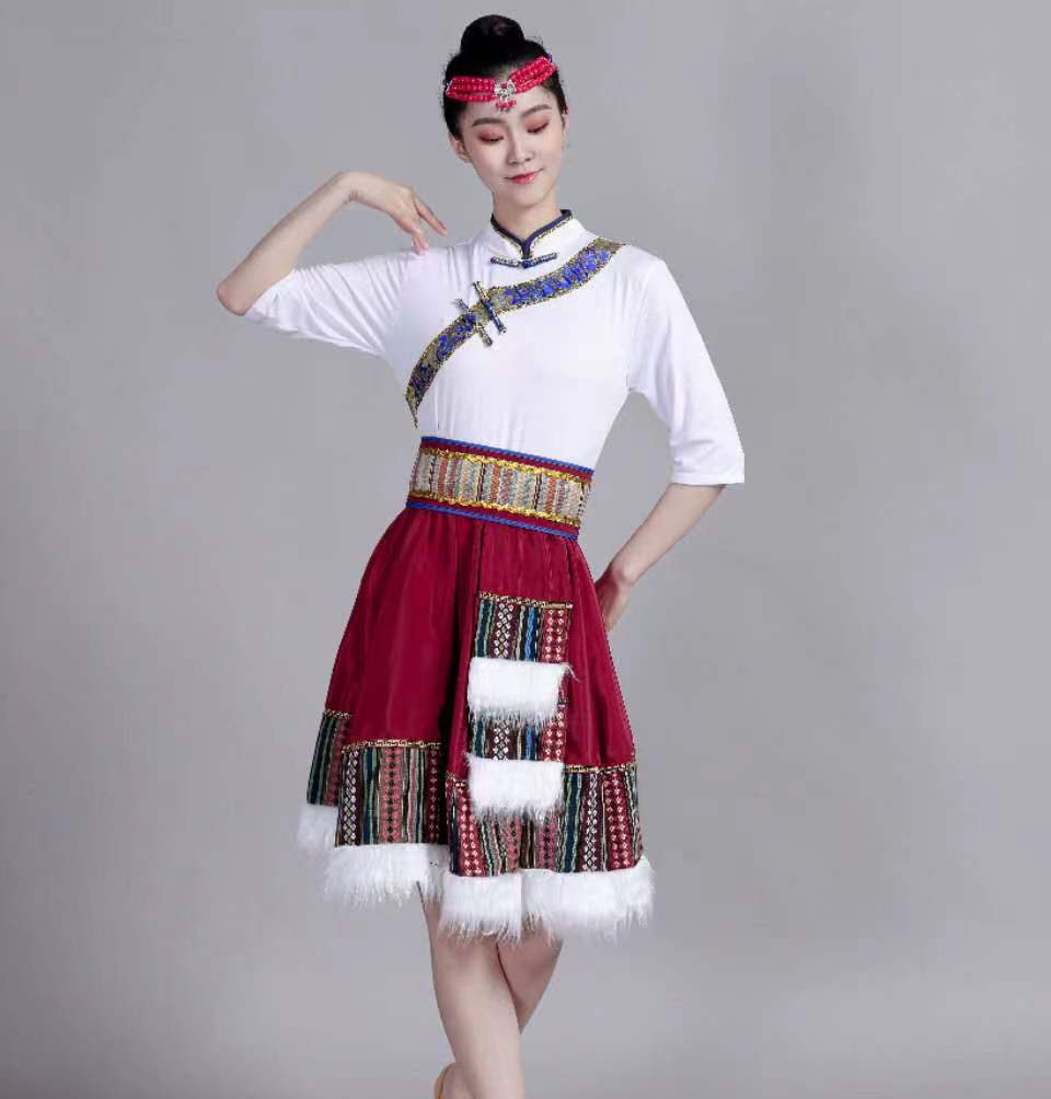 藏族演出服少数民族服饰女新半身裙女团服广场舞练功服秧歌大摆裙