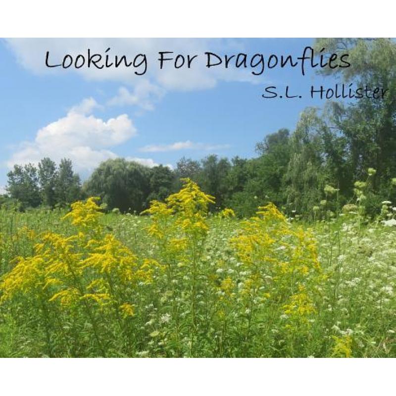 【4周达】Looking For Dragonflies [9781732844506]