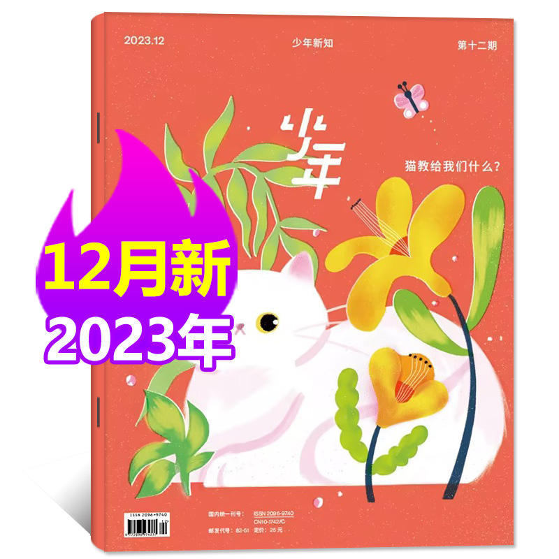 【2023年全年 现货】 三联生活杂志  少年杂志2023年 去野外       现货  杂志订阅