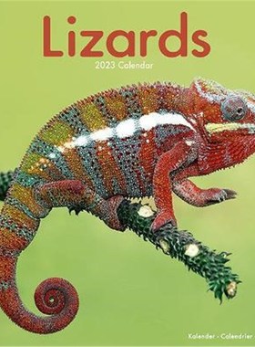 预订Lizards 2023 Wall Calendar