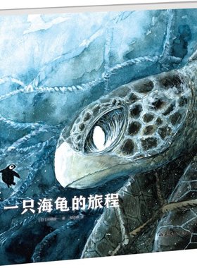 一只海龟的旅程 山东文艺出版社 新华书店正版书籍