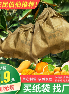 桃子套袋专用袋枇杷袋苹果梨袋子柠檬芒果袋散花柚子防虫防水保护