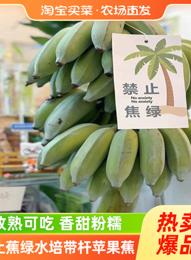 禁止蕉绿水培带杆苹果蕉4-6斤/8-9斤可食用香蕉绿植百补