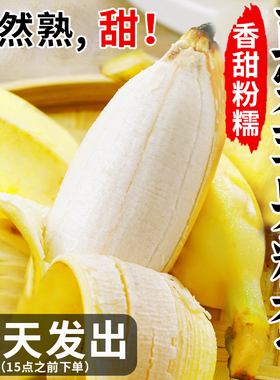正宗苹果蕉banana香蕉新鲜9斤苹果粉蕉自然熟当季小米芭蕉香焦10