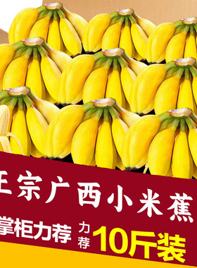 广西小米蕉当季水果新鲜10斤自然熟香蕉整箱苹果香蕉粉芭蕉甜包邮