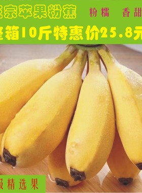 广西苹果蕉粉蕉 新鲜banana香蕉当季新鲜水果现采现发包邮