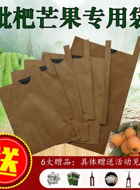 枇杷套袋专用袋梨袋桃袋芒果柑橘脐橙柚子套袋苹果水果套袋枇杷袋