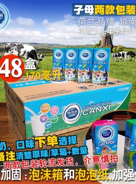 DUTCH LADY子母奶170ml*48盒 进口越南常温甜牛奶钙饮品宿舍整箱