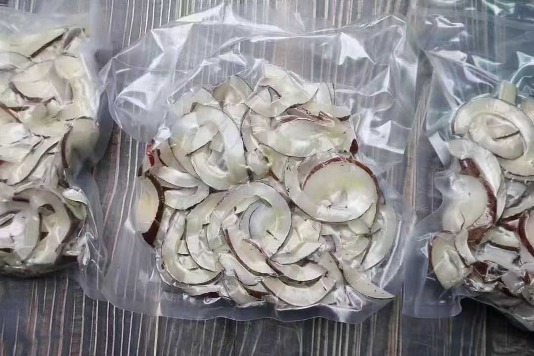 印度椰子海椰王海椰皇新鲜切片真空包装煲汤海底椰500g印度椰子皇