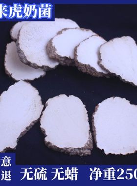 正宗天然虎奶菌250g虎乳菌虎乳灵芝虎奶菇10-20头1斤 可代磨粉