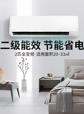 TOSHIBA东芝家用挂机空调进口2匹冷暖大清快变频自清洁包安装壁挂
