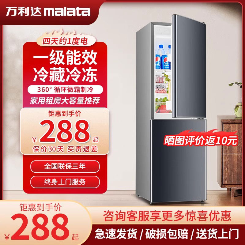 一级能效小冰箱家用冰箱小型冷冻冷藏宿舍出租房双开门节能电冰箱