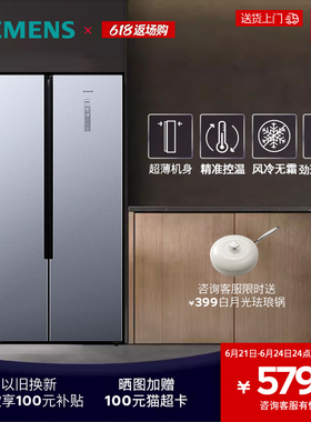 【安心嵌入】西门子530L超薄双开家用电冰箱官方大容量KX53NA41TI