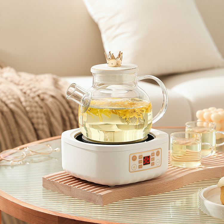 养生煮茶壶多功能家用煮茶器办公室小型mini玻璃花茶泡茶壶电陶炉