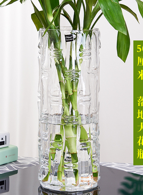 特大号落地富贵竹花瓶摆件玻璃透明水养水培直筒家用客厅插花装饰