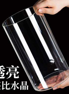 玻璃花瓶高颜值简约透明水养富贵竹直筒花瓶水培插花客厅装饰摆件