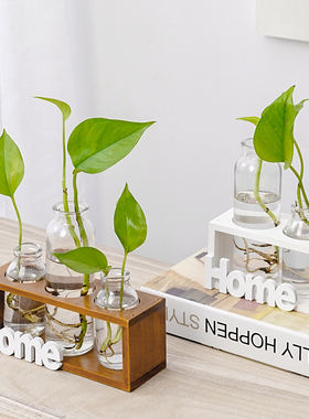 ins简约木质水培玻璃花瓶水培植物透明插花花器客厅家居装饰摆件