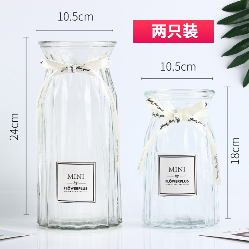 玻璃花瓶摆件客厅插花透明水养富贵竹干花专用瓶2021新款水培器皿