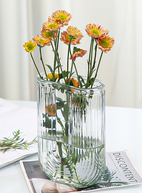 玻璃花瓶网红ins风摆件客厅插花透明创意鲜花郁金香水养百合水培