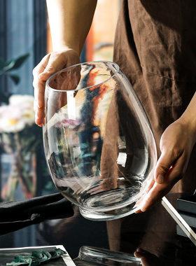 水培绿萝玻璃花瓶 恐龙蛋多肉水养植物透明插花花器客厅装饰摆件