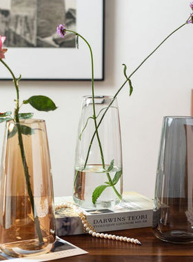 掬涵花瓶摆件客厅插花透明玻璃网红鲜花玫瑰水养水培绿植高级感