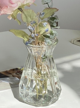 简约玻璃花瓶水养韩式现代创意家居客厅餐厅干花插花装饰摆件