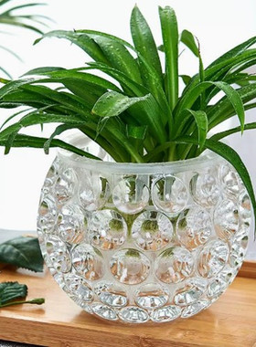 简约加厚水晶玻璃花瓶透明绿萝水培花盆圆形水养植物器皿插花摆件