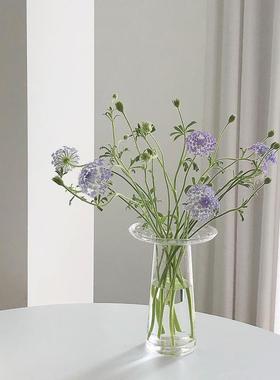 ins韩国设计师同款T形花瓶玻璃简约家居装饰摆件水培干花插花花器