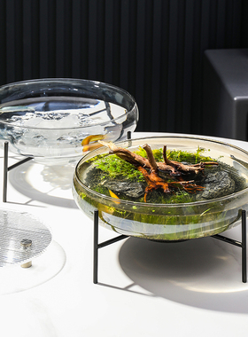 北欧轻奢ins风创意玻璃水培器皿餐桌装饰品客厅鱼缸插花花盆摆件