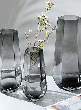 北欧轻奢高档插花玻璃花瓶摆件简约家居装饰水养干花鲜花创意花瓶