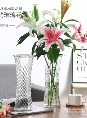 【两件套】特大号玻璃花瓶透明水养富贵竹花瓶客厅家用插花瓶摆件