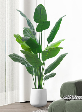 仿真绿植假植物天堂鸟仿真花摆件室内盆栽大型仿生绿植客厅装饰树