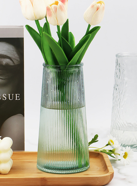 欧式玻璃花瓶ins风创意插花水养干花鲜花大口径透明花瓶客厅摆件