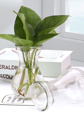 简约玻璃花瓶风信子透明花瓶办公室桌面水培绿萝器皿客厅装饰摆件