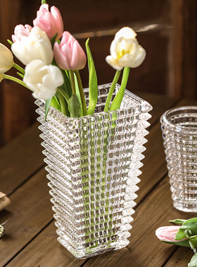 璀璨高级感透明玻璃花瓶插花鲜花水养水培轻奢高档客厅餐桌摆件