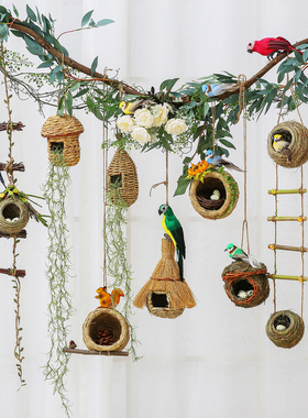 鸟巢摆件自然角幼儿园森系植物角户外装饰微景观别墅庭院花园布置