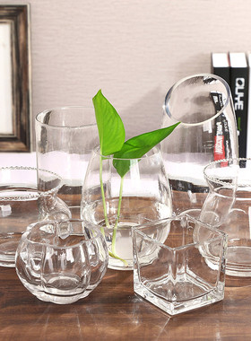 简约小清新玻璃花瓶透明水培花盆水养绿萝植物器皿小号富贵竹摆件