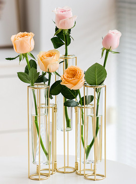 北欧透明玻璃花瓶客厅插花轻奢家居装饰创意摆件鲜花玫瑰水养花器