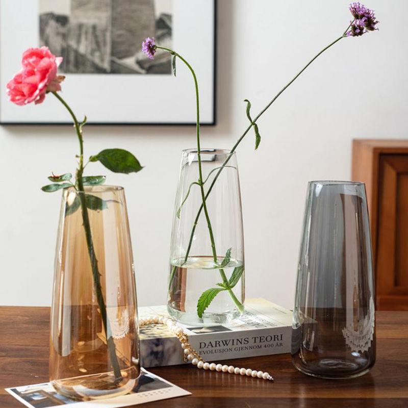掬涵花瓶摆件客厅插花透明玻璃网红鲜花玫瑰水养水培绿植高级感