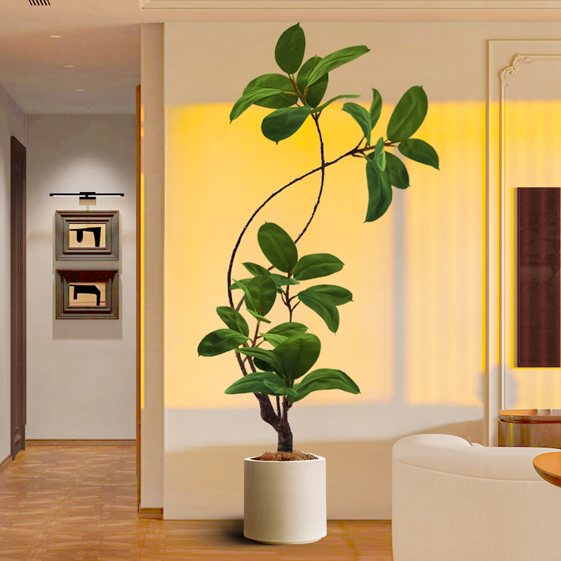 大型客厅落地摆件室内沙发电视柜旁边假植物黑金刚橡皮树仿真绿植