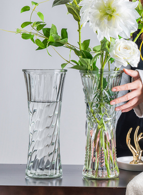 水养富贵竹玻璃花瓶透明百合花客厅插花摆件水竹子专用水培特大号
