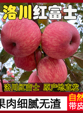 一级精品苹果陕西正宗洛川红富士脆甜多汁新鲜水果源头产地直发