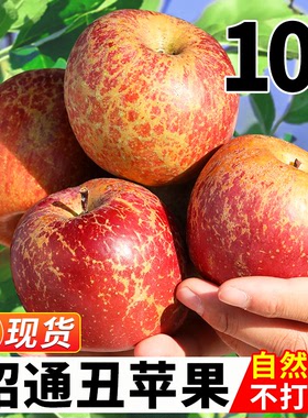 云南昭通丑苹果冰糖心新鲜水果当季整箱9斤包邮脆甜红富士大平果