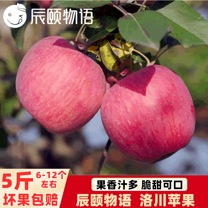 辰颐物语洛川苹果新鲜水果当季现摘整箱正宗脆甜苹果平果红富士
