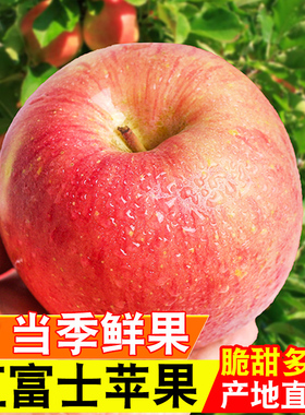 苹果水果陕西红富士苹果脆甜丑苹果新鲜整箱当季脆甜丑平果整箱2