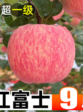 山西红富士苹果9斤新鲜水果应当季整箱丑萍果嘎啦苹果冰糖心包邮5