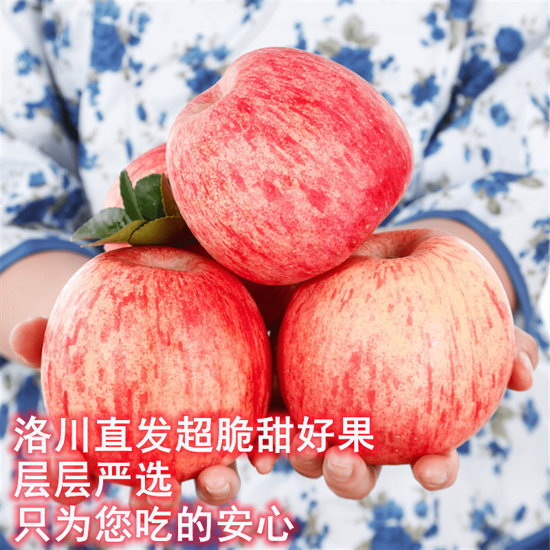 洛川苹果陕西延安红富士水果新鲜整箱脆甜多汁10枚80mm装优选中果
