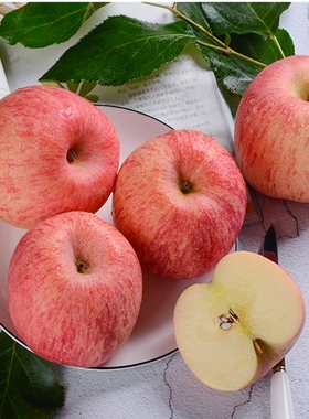 山东烟台栖霞红富士苹果水果新鲜甜脆特产4.5斤装