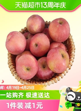烟台红富士苹果6粒单果70mm+脆甜可口新鲜水果整箱包邮