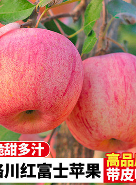 洛川苹果红富士水果新鲜当季整箱8.5斤延安特产一级应季萍果10